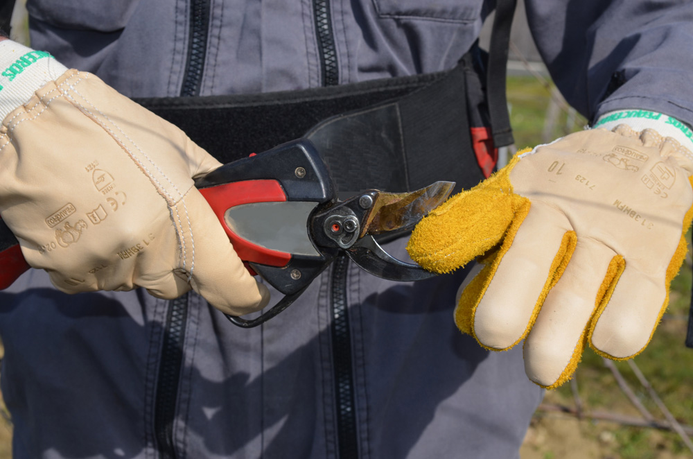 Visuel 313BHFM-314BHFM PEAUCEROS GANT ESPACES VERTS - VITICULTURE ARBORICULTURE - GANTS DE TAILLE